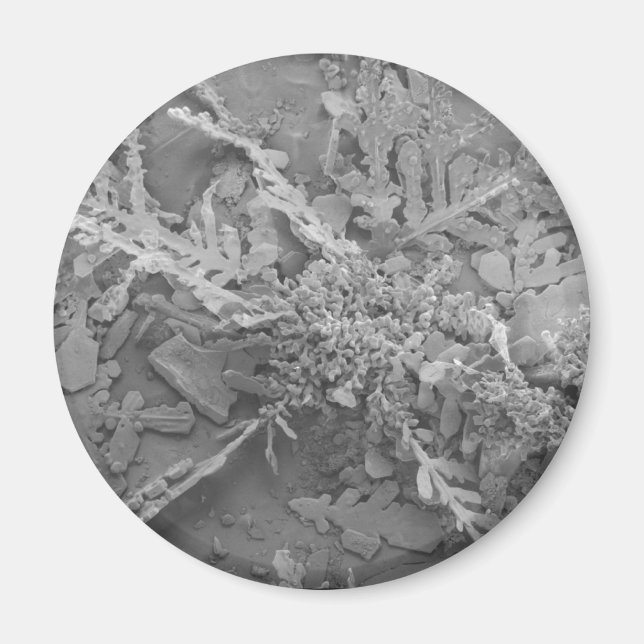 Snowflake 1 magnet (Front)