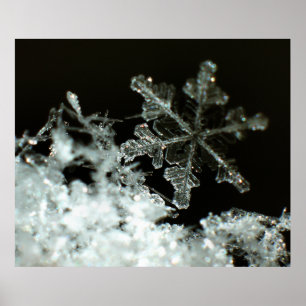 Snowflake 2009 Blizzard Poster