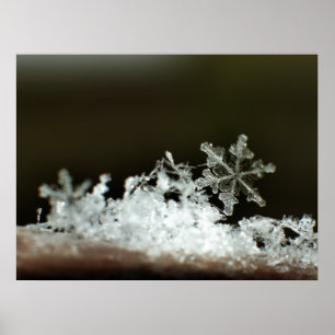 Snowflake 2009 Blizzard Poster