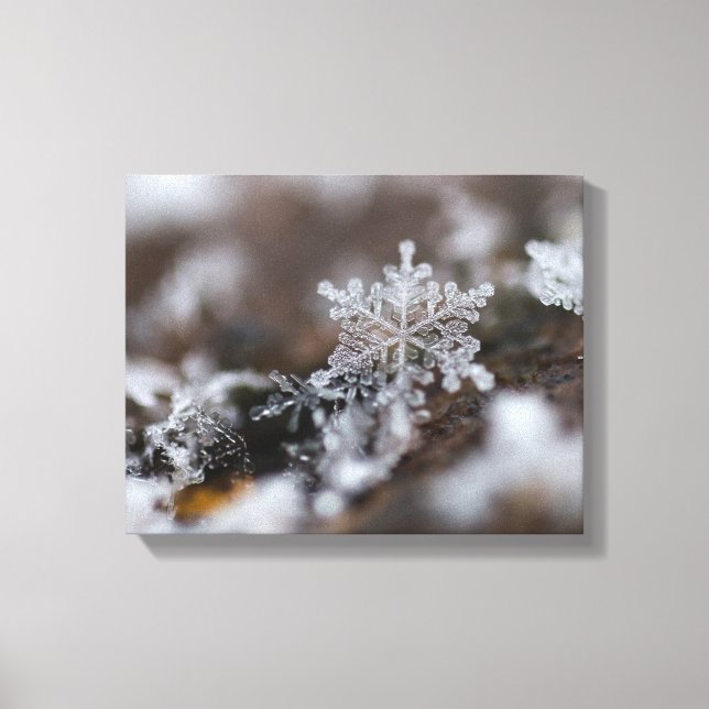 Snowflake canvas print (Front)