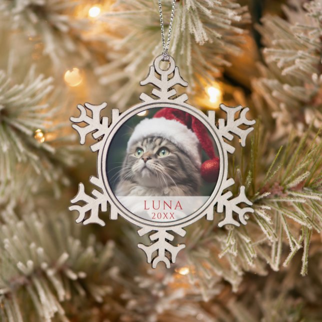 Snowflake Cat Lover Photo Ornament – Silver Metal (Tree)