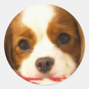 Snowflake Cavalier King Charles Spaniel Classic Round Sticker