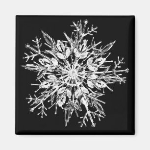 Snowflake Crystal Magnet