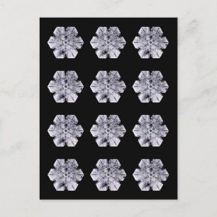 Snowflake Crystal Photos Postcard
