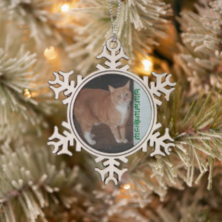 Snowflake Framed Cat Ornament