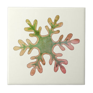 Snowflake Green Red Winter Holiday Christmas Ceramic Tile