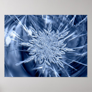 Snowflake Ice Crystal Poster