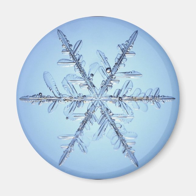 snowflake magnet (Front)