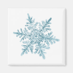 Snowflake Magnet