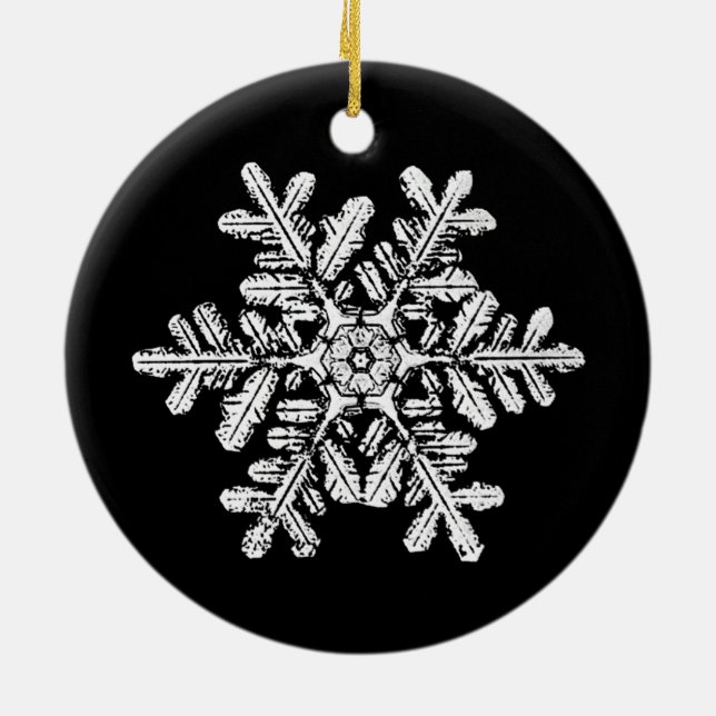 Snowflake Photo Ornament (Back)