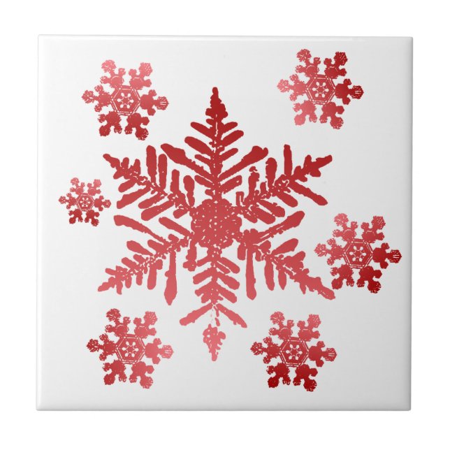 Snowflake Tile Trivet (Front)