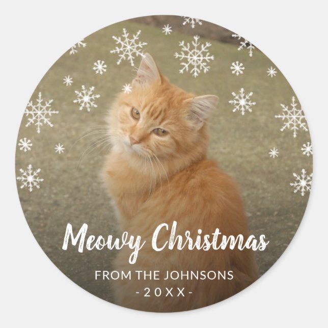 Snowflakes Cat Photo Cute Meowy Christmas Classic Round Sticker (Front)