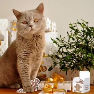 Snowflakes & Gingerbread Cookie Holiday Christmas  Favour Box