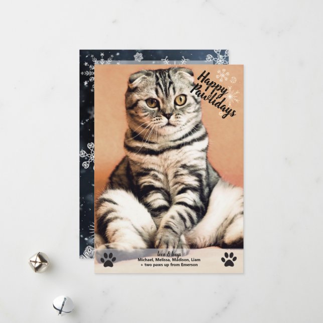 Snowflakes Happy Pawlidays Cat Dog Photo Christmas Holiday Card (Front/Back In Situ)