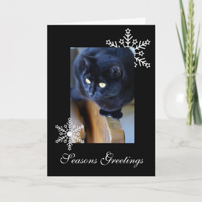 Snowflakes Holiday Card (Front)