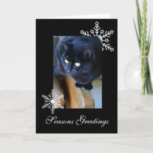 Snowflakes Holiday Card