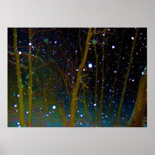 Snowflakes in the Woods Poster