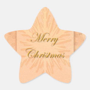 Snowflakes n vintage Christmas snow Star Sticker