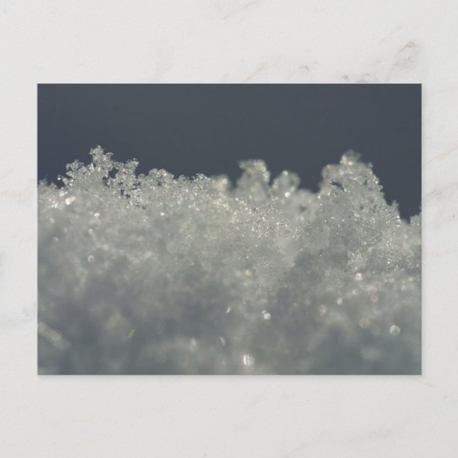 Snowflakes Up Close Postcard (Front)
