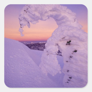 Snowghost in the Whitefish Range at Twilight Square Sticker