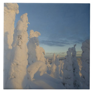 Snowghosts at sunset at Whitefish Mountain 2 Ceramic Tile