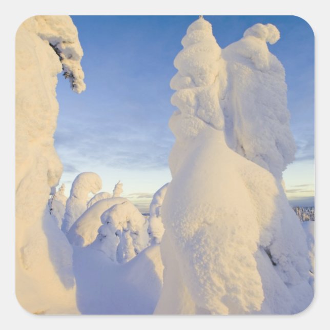 Snowghosts at sunset at Whitefish Mountain Square Sticker (Front)