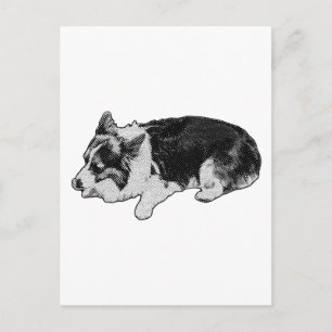 snowgrain hello, corgi postcard