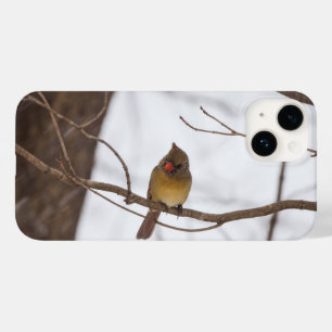Snowing Again Says Mrs Cardinal iPhone Case