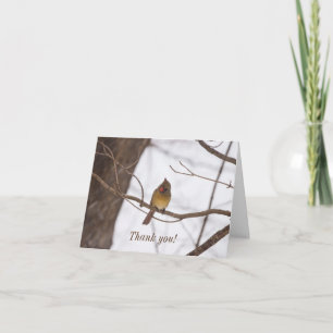 Snowing Again Says Mrs Cardinal Thank You Card