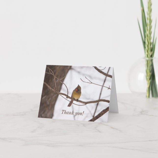 Snowing Again Says Mrs Cardinal Thank You Card (Front)
