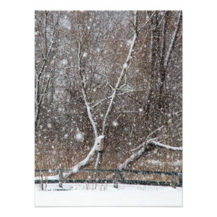 Snowing At the Park Photo Print