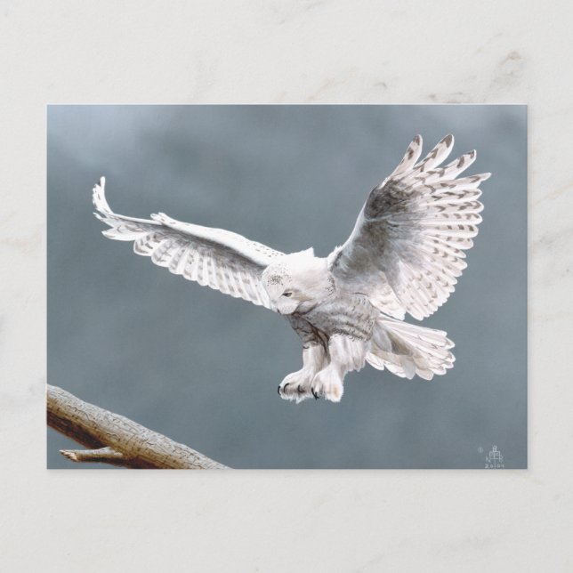 Snowings Postcard (Front)