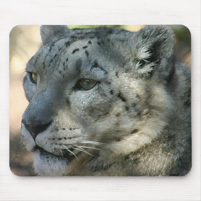 snowleopard mouse pad (Front)