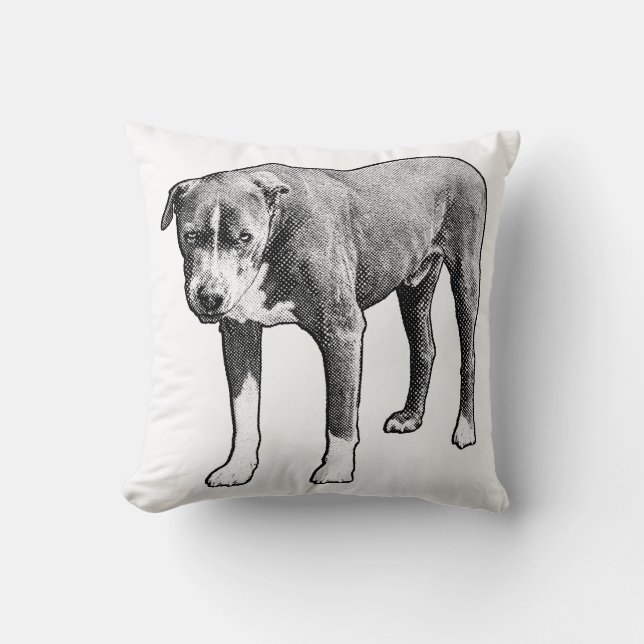 Snowlight Companion Accent Cushion (Front)