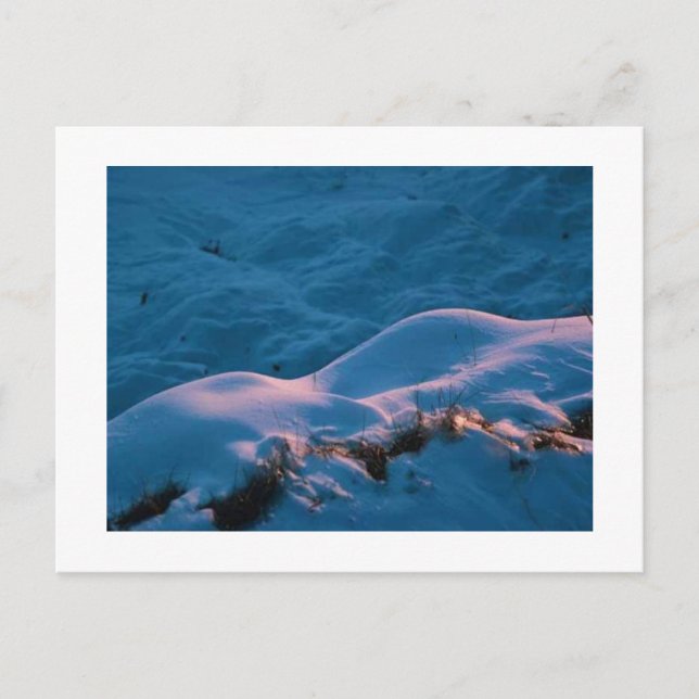 SNOWLIGHT POSTCARD (Front)