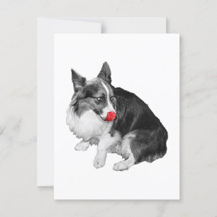 Snowmail: Quick Lick Hello Postcard