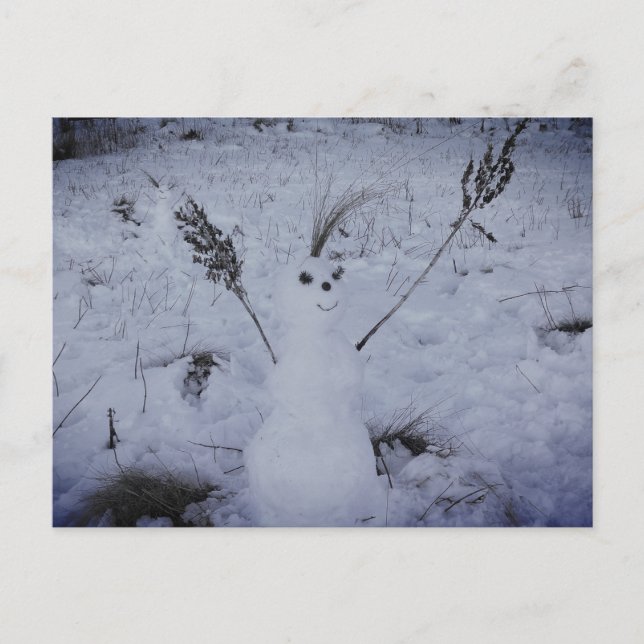 Snowman Happy Face  PhotoPostcard Postcard (Front)