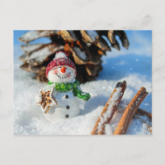 Snowman Holiday Treat Christmas Cheer Postcard