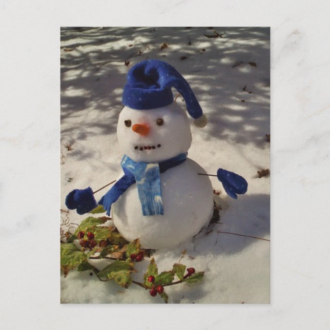 Snowman withBlue Hat and Scarf Postcard (Front)