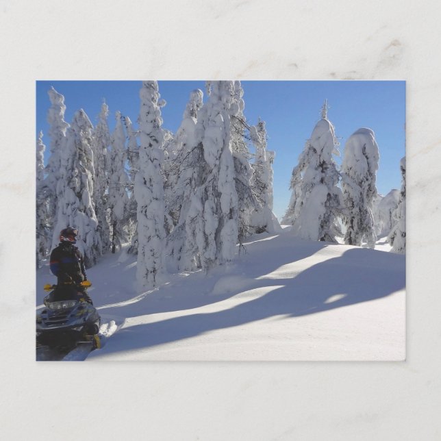 Snowmobiler Winterscape Postcard (Front)