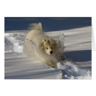 Snowplow - blank card