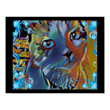 snowshoe blue supernatural kitty