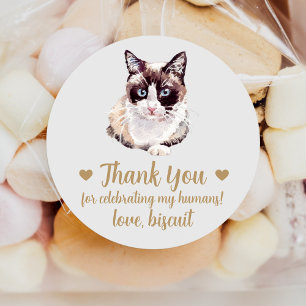 Snowshoe Cat Wedding Favour Stickers
