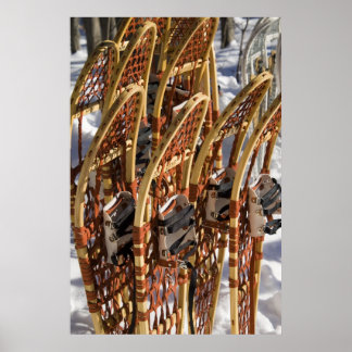 Snowshoe Clinic Poster