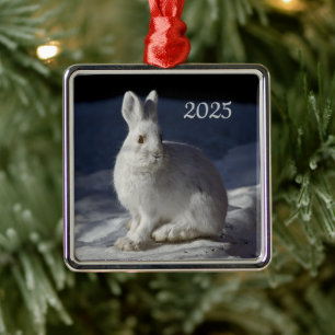 Snowshoe Hare, Denali National Park, Alaska Metal Ornament