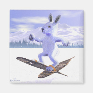 Snowshoe Hare Magnet