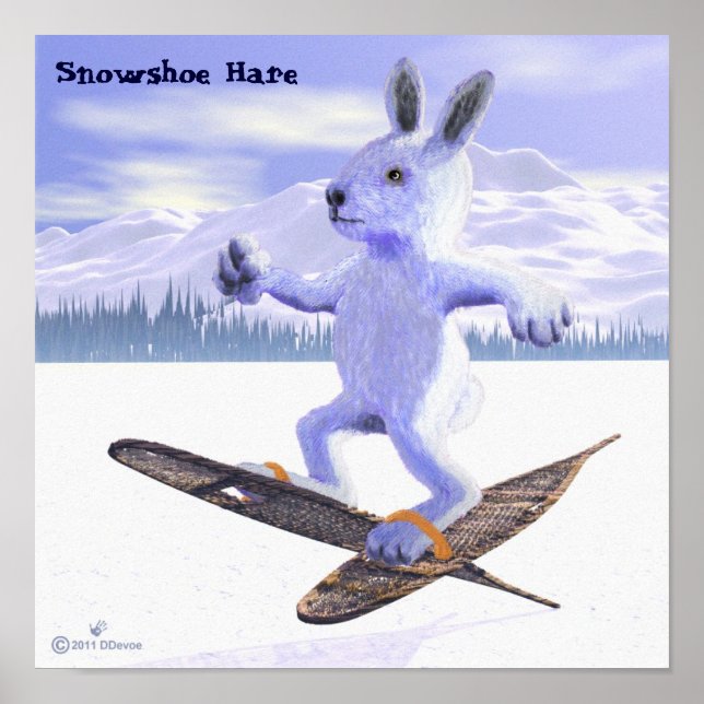 Snowshoe Hare Poster (Front)