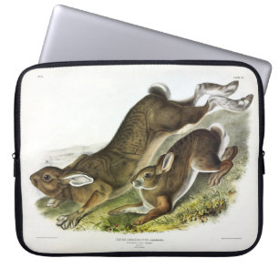 Snowshoe Hare, summer (Northern Hare) by Audubon Laptop Sleeve