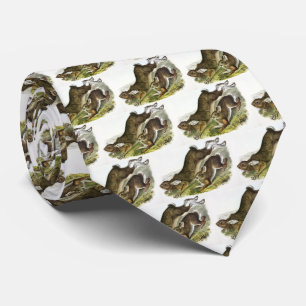 Snowshoe Hare, summer (Northern Hare) by Audubon Tie