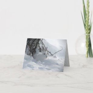 Snowshoe Hare under Bush in Snow Holiday Card